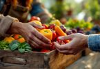 découvrez les avantages des produits locaux, de la qualité à la réduction de l'empreinte écologique, en soutenant l'économie locale et en favorisant une consommation responsable.